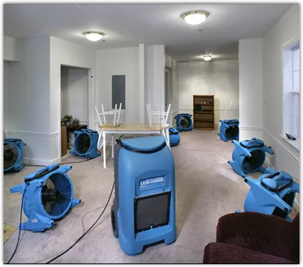 Mold Remediation & Removal in Miami, OK