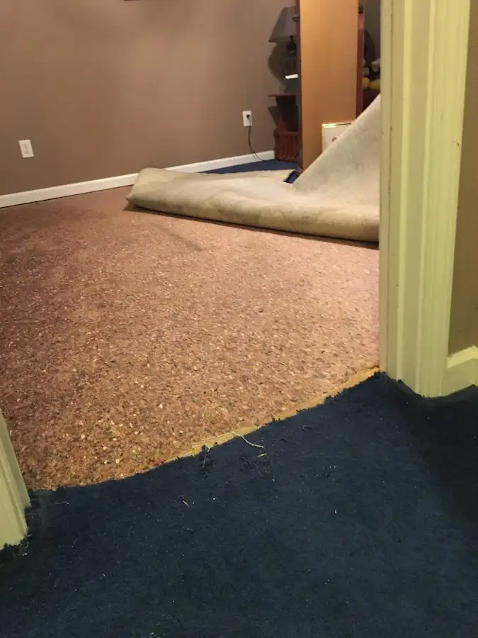 Carpet pad removal revealing water damage during Water Mitigation Services in Miami